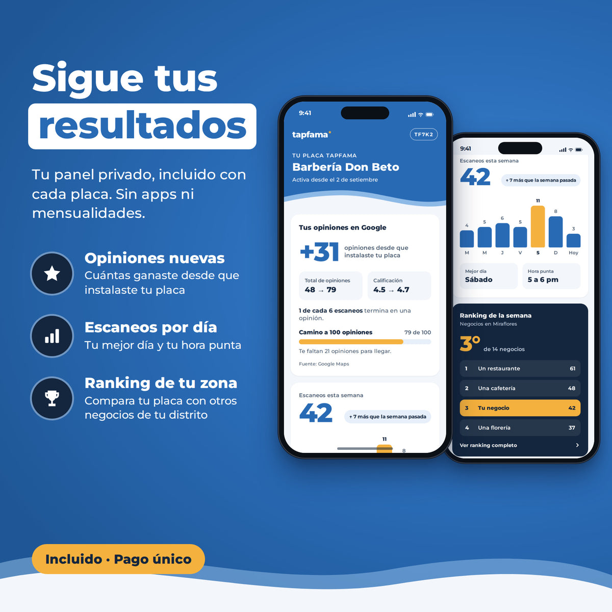 Panel privado de Tapfama incluido con cada placa: opiniones nuevas, escaneos por día y ranking de tu zona